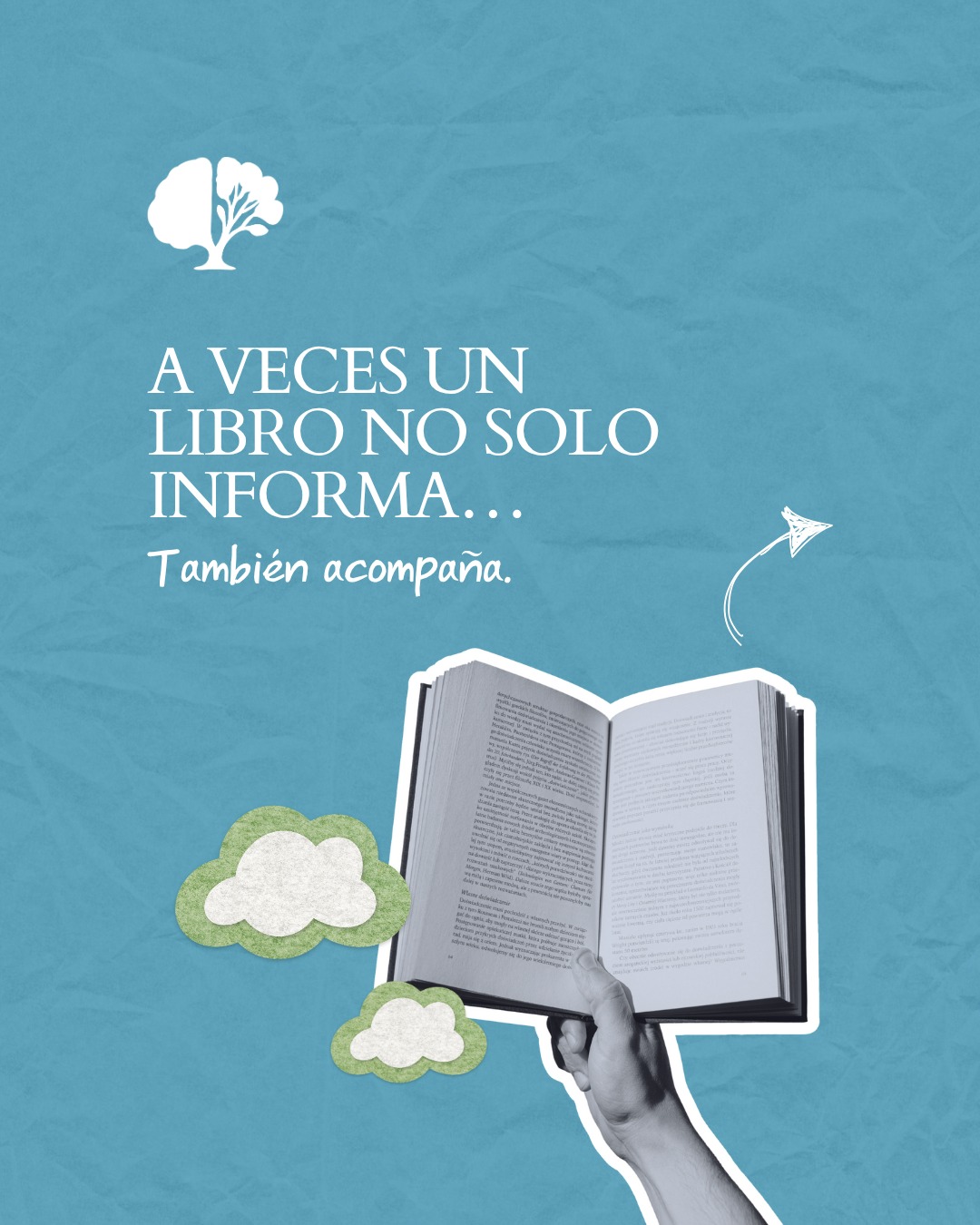 Publicación de Mentis Viva en Instagram sobre la lectura como recurso de bienestar psicológico y biblioterapia