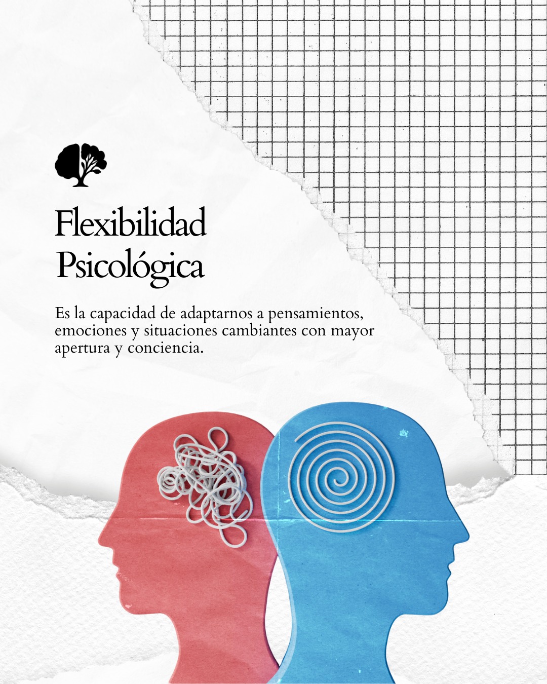 Publicación de Mentis Viva en Instagram sobre la flexibilidad psicológica como habilidad central para la salud mental