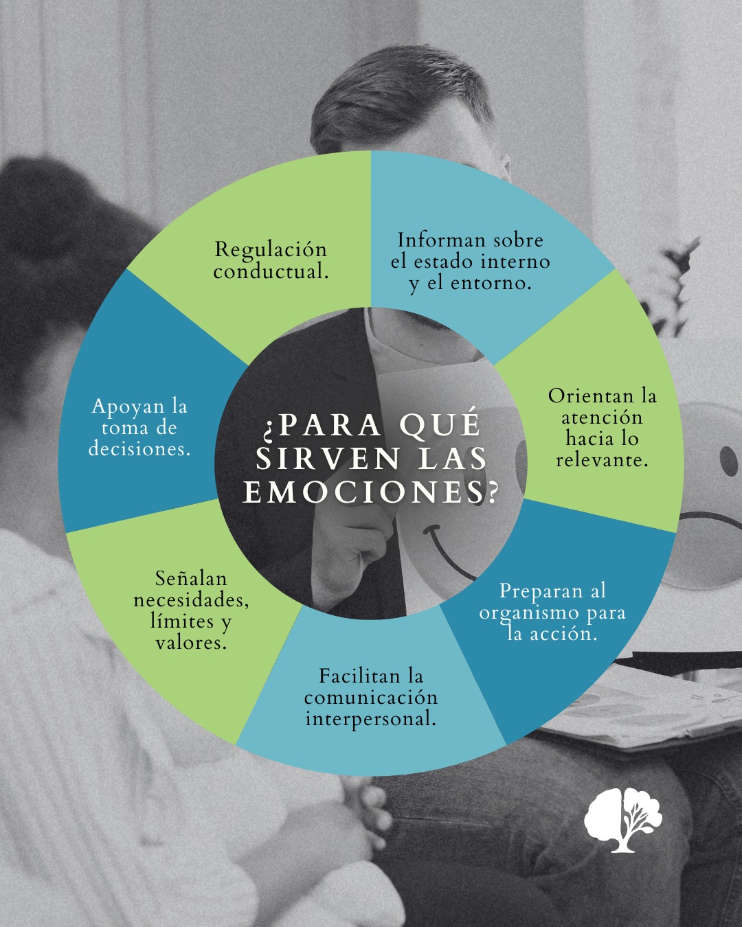 Publicación de Mentis Viva en Instagram sobre las emociones como procesos dinámicos en contexto