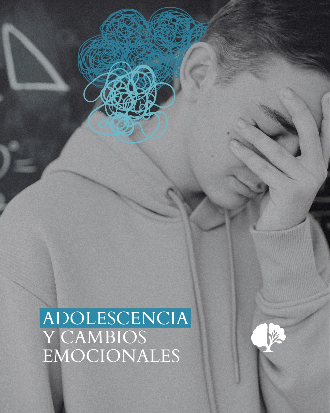 Publicación de Mentis Viva en Instagram sobre adolescencia: reorganización neurobiológica y social