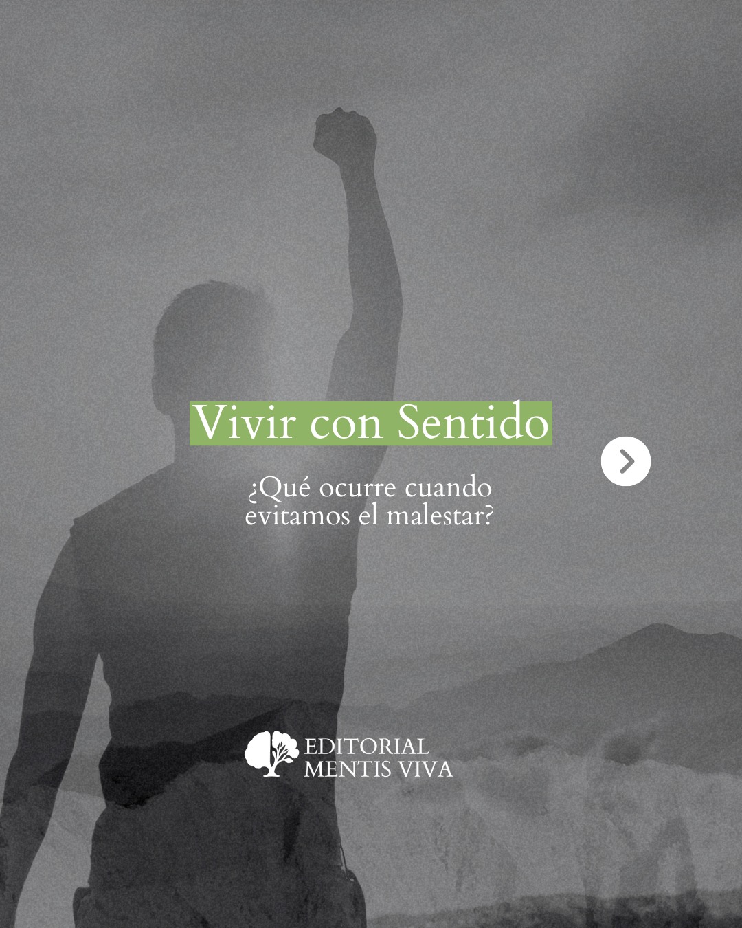 Publicación de Mentis Viva en Instagram sobre el bienestar constante como estándar cultural