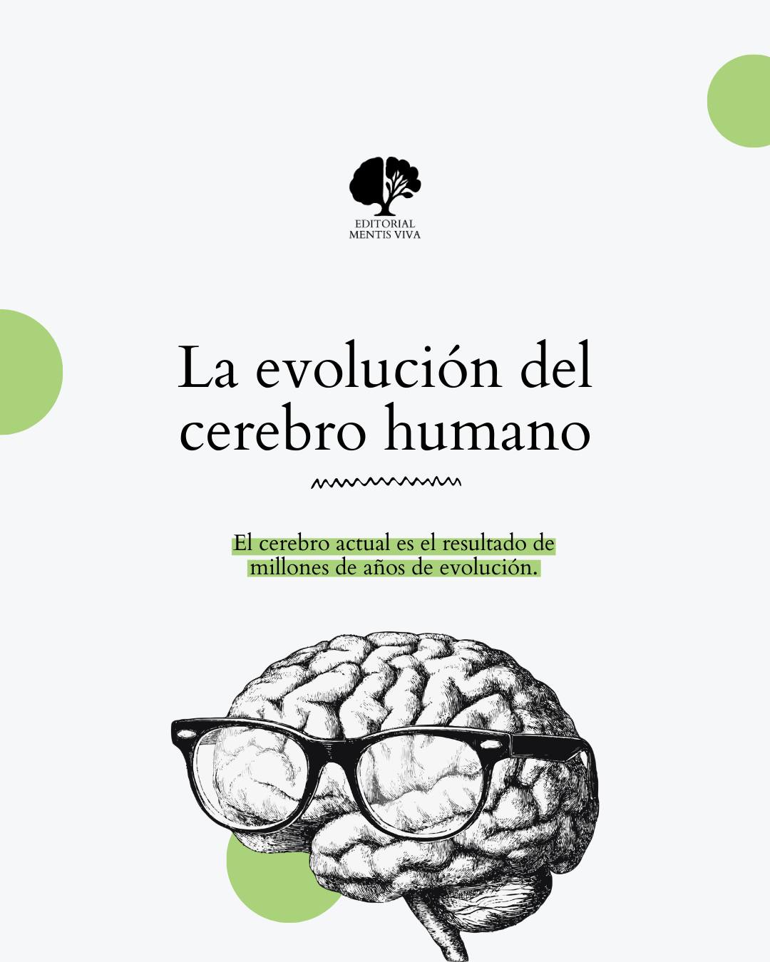 Publicación de Mentis Viva en Instagram sobre el cerebro evolutivo y las respuestas emocionales