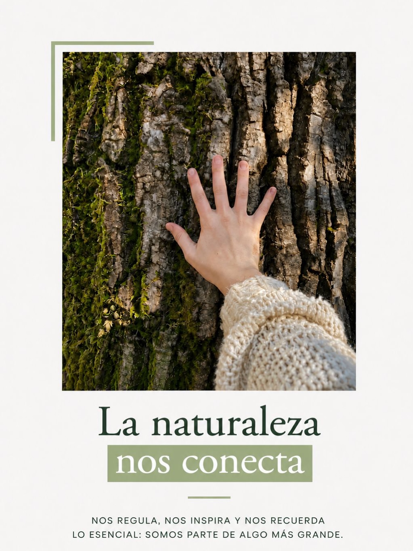 Publicación de Mentis Viva en Instagram sobre el contacto con la naturaleza y el bienestar psicológico